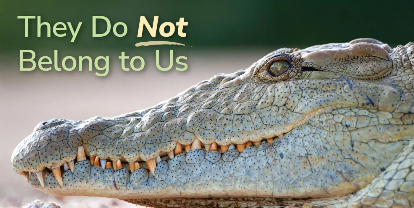 Shein Bans Fur and Exotic Animal Skins from Its Marketplace—A Pivotal Step Toward Compassionate Fashion